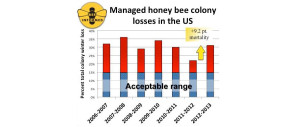 Managed honey bee colony losses in the US