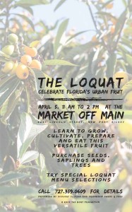 Loquat Poster