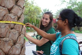 USF Ranked 7th in Nation on Sustainable Schools List