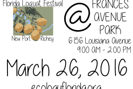 Florida Loquat Festival