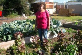 City of New Port Richey Adopts New Urban Farm Ordinance