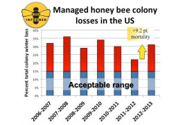 Managed honey bee colony losses in the US