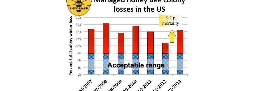 Managed honey bee colony losses in the US