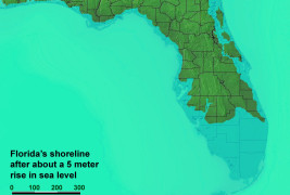 Climate Change Condensed: Professor Chanton’s Message to Gov. Scott