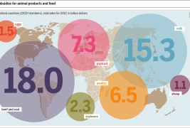 From ‘Sustainable’ to ‘Regenerative:’ The Future of Food