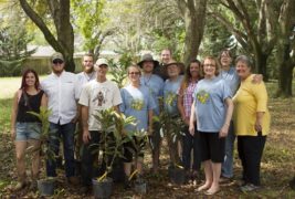 Florida Loquat Festival News – #19 January 2017