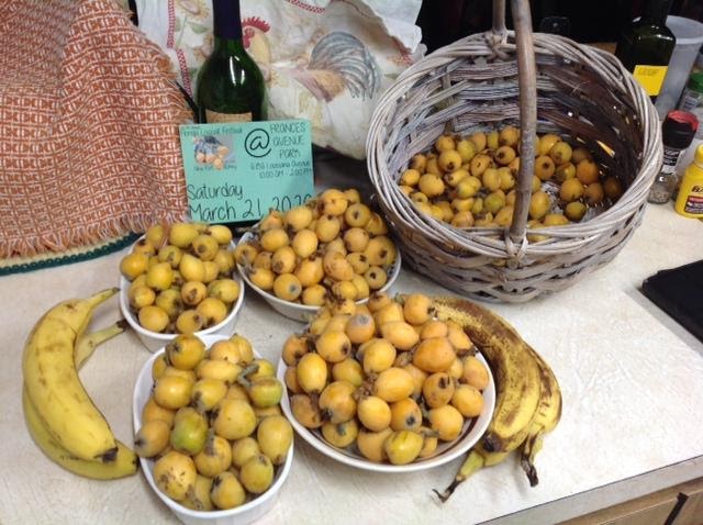 GOOD NEWS! 10th Annual Florida Loquat Festival Coming Up!