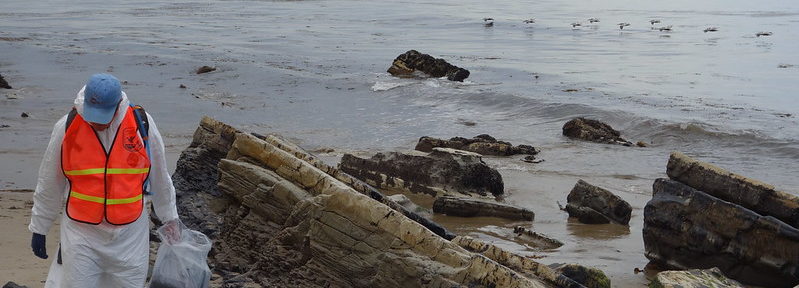 Worker assesses oil damage