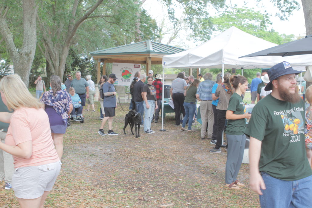 Florida Loquat Festival